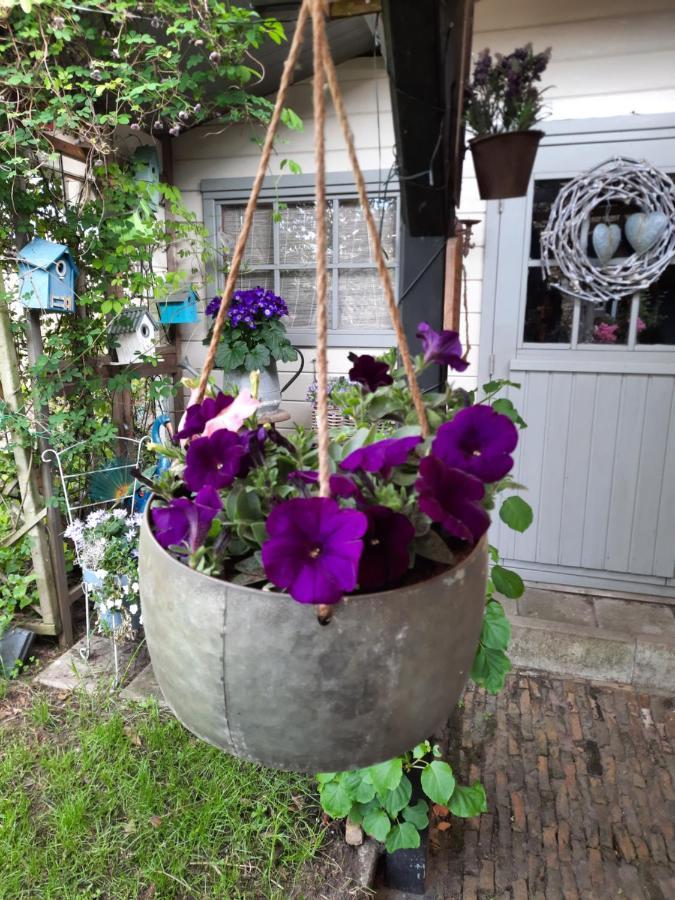 Anneke'S Bed En Botterhammeke Daire Woensdrecht Dış mekan fotoğraf